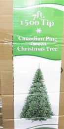 7' CANADIAN PINE CHRISTMAS TREES - pick up only
