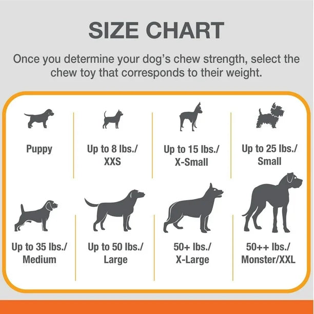 Nylabone Essentials Small Dog Value Pack