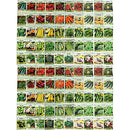 Vegetable Seeds - Pick you favorite