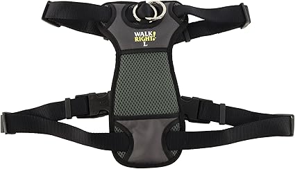 Coastal Pet Walk Right Front - Connect No More Pull Padded Dog Harness