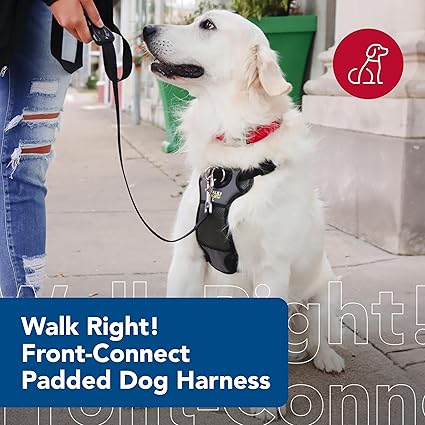Coastal Pet Walk Right Front - Connect No More Pull Padded Dog Harness