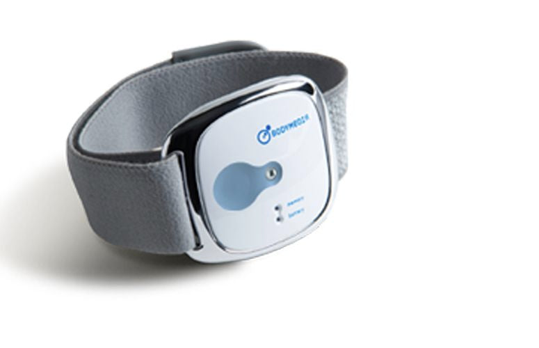 BodyMedia FIT Link Armband Weight Management System