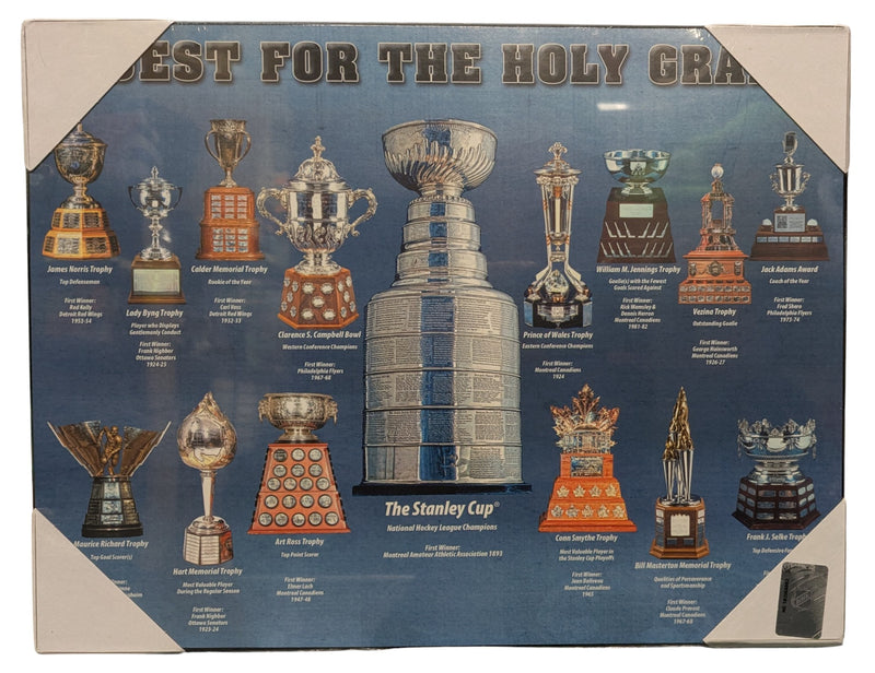 Quest for the Holy Grail NHL Print on Board
