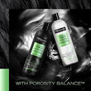 Treseme pro care curls shampoo and conditioner - 592ml (1 bottle of each)