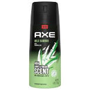 axe 48h antiperspirant spray - pick your favorite