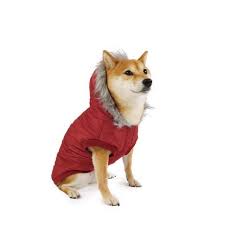 One Paw, Harness Dog Jacket with Built-In Harness, Water-Resistant, Multiple sizes & colors