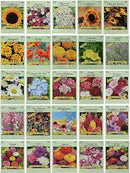Garden Flower Seed packets