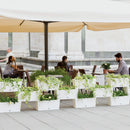 Set of 5 Modular Flower Planter Boxes - Two Colours - Pick Up Only