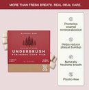 Underbrush Cinnamon Remineralizing Gum, Sugar Free