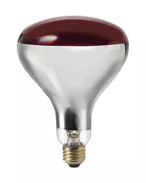 Canarmna Heat Lamp Light Bulb R40 250 Watts Red