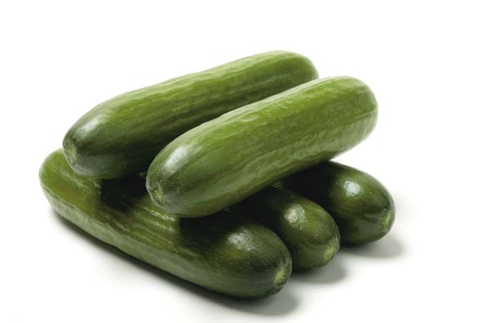 deruiter hybrid cucumber jewell seeds - 5000 seeds