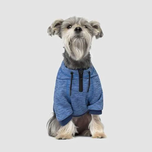 Canada Pooch Hero Hoodie