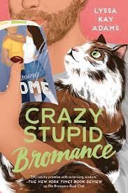 Crazy Stupid Bromance  - soft cover