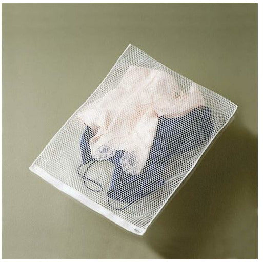 Room Essentials® Basic Mesh Lingerie Washing Bag - 2guysonline.ca