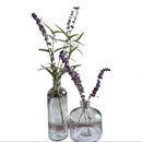 Bud Vase Bottle - 2 pack - 2styles