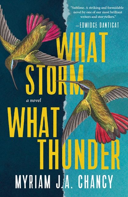 What Storm, What Thunder: A Novel Paperback